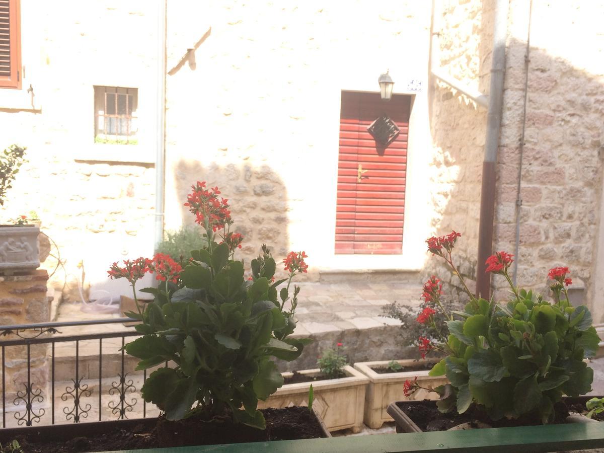 Apartment Ozana Kotor Exterior photo