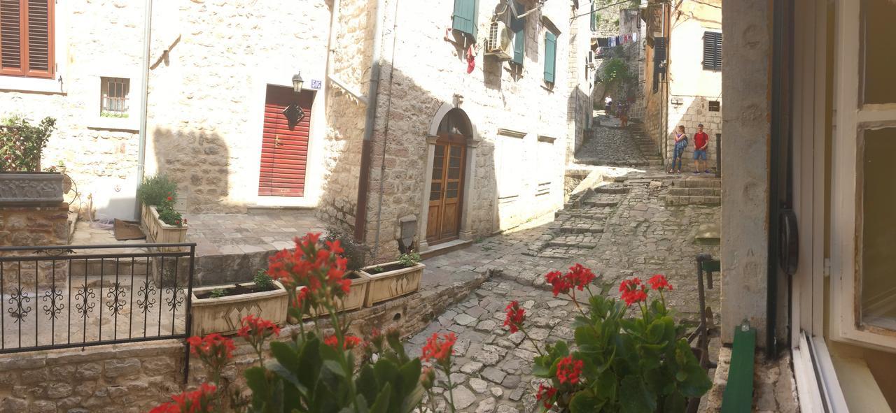Apartment Ozana Kotor Exterior photo